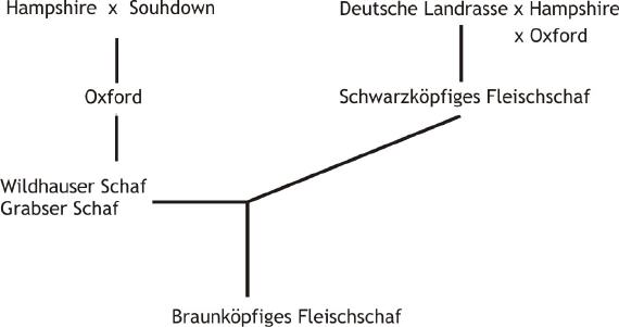 BFS Diagramm